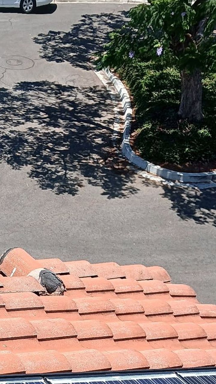 Clean roofline gutters after professional gutter cleaning service