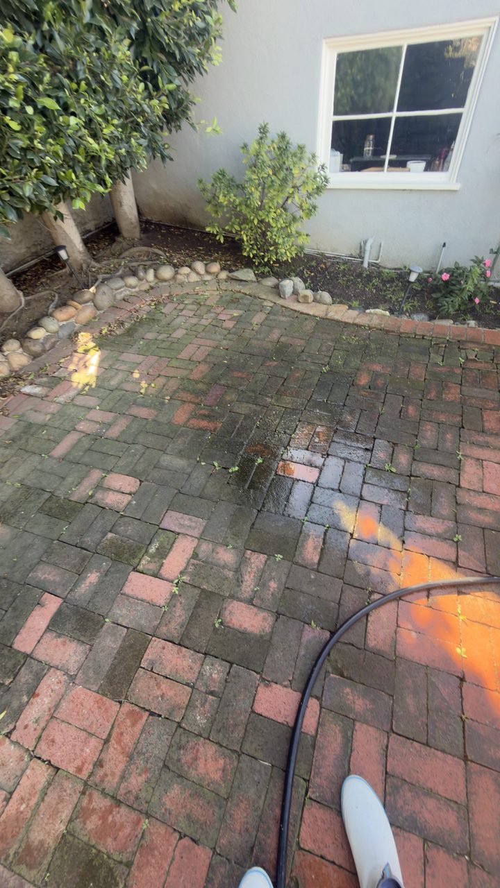 Brick paver patio before cleaning, darkened by ground-in dirt and moss
