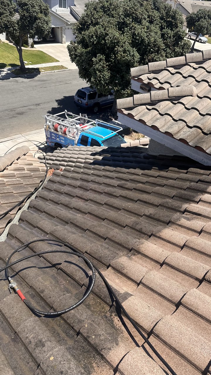 Soft wash roof cleaning lifting algae and moss off a tile roof in Los Angeles