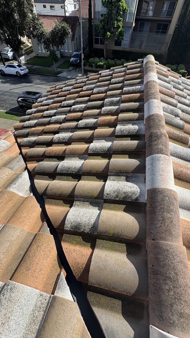 Tile roof before cleaning, covered in algae and dark moss buildup